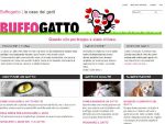 Buffogatto risorse sui gatti